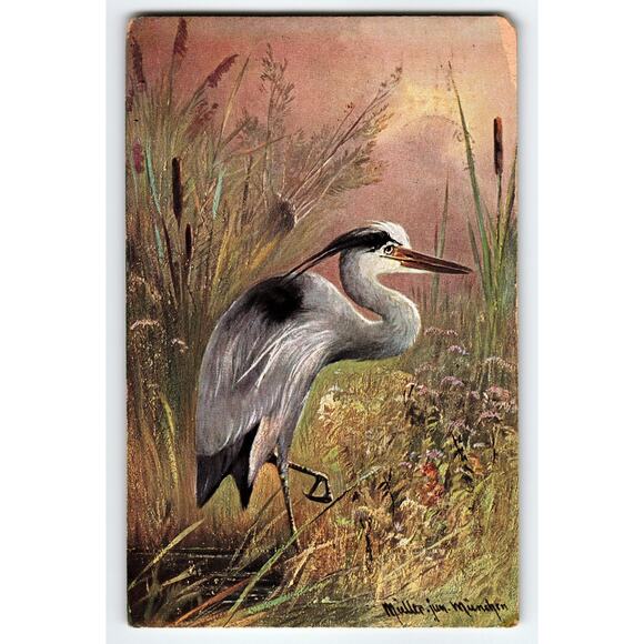 Vintage Signed Muller Artist Card Heron in Marsh Scene Postcard - Picture 1 of 2